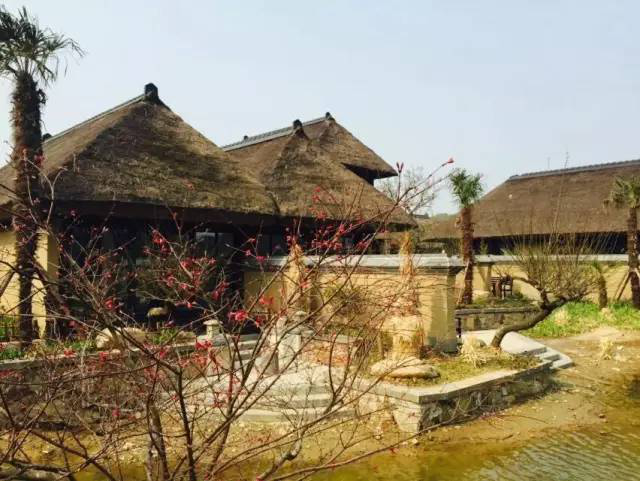 尊龙人生就是博·Z6「中国区」首页官网